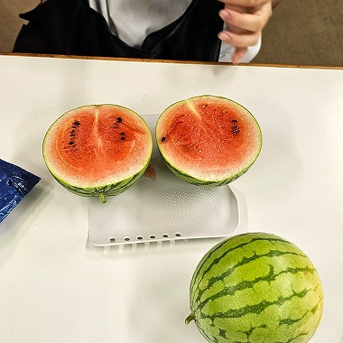 01.jpg