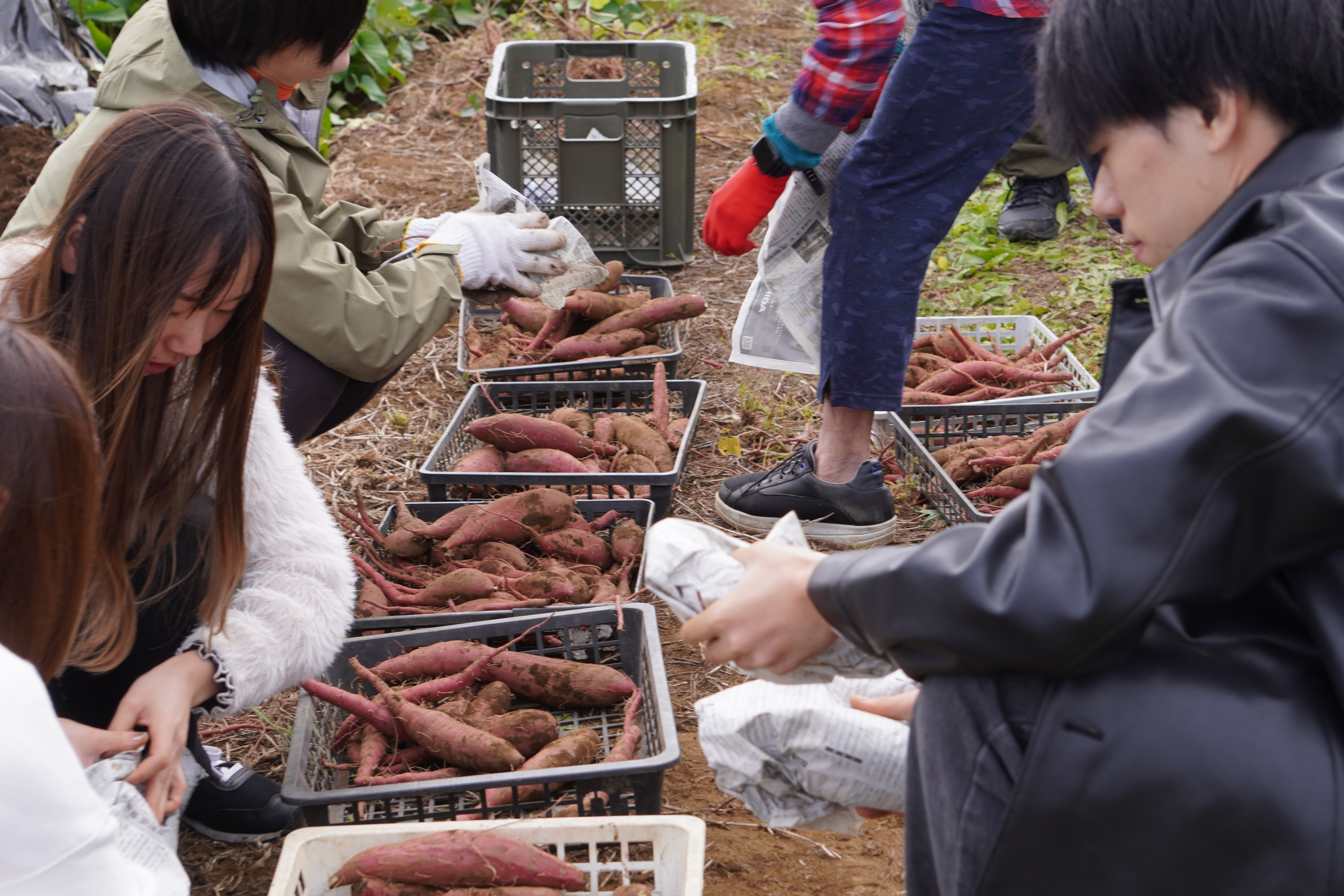 産学連携12.JPG