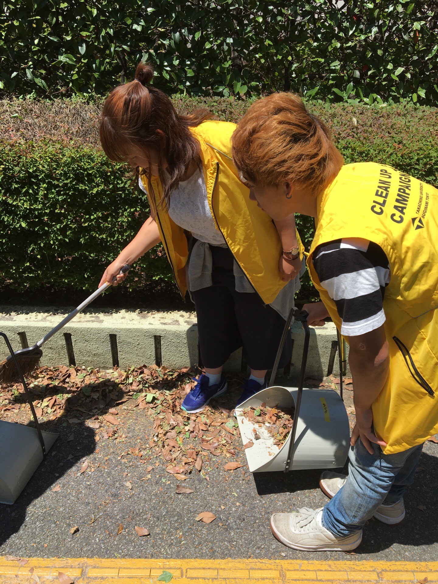 ②クリーンアップ.jpg ②クリーンアップ.jpg